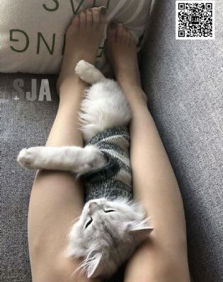 国产成人无码8X视频在线观看_高清在线观看